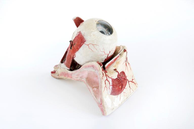 Collections pédagogiques du Lycée Ernest Renan, 2-4 Boulevard Hérault (Saint-Brieuc)