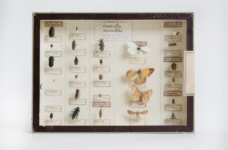 Collections pédagogiques du Lycée Ernest Renan, 2-4 Boulevard Hérault (Saint-Brieuc)