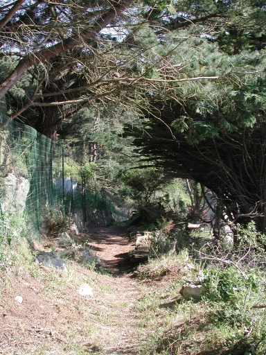 Chemins dit sentiers douaniers, Goas Lagorn ; Keravel ; Pors Mabo (Trébeurden)