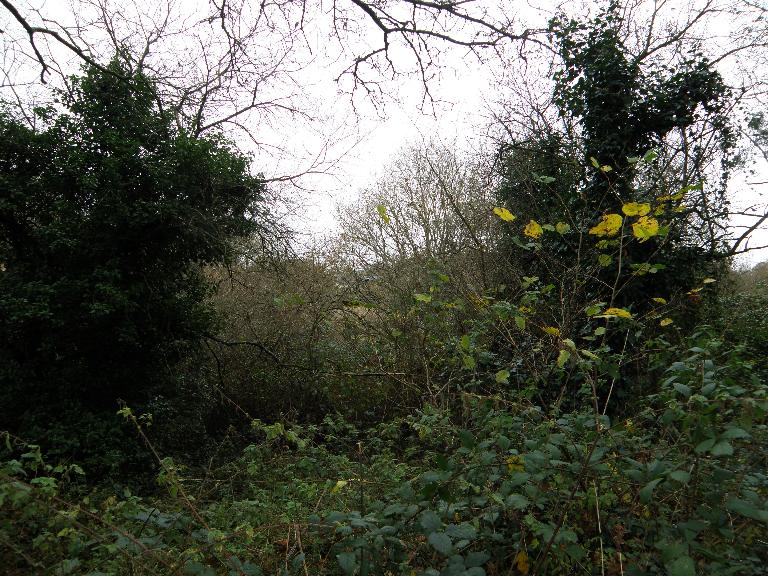 Ardoisière de Kermanach (Saint-Hernin)