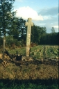 Croix de Chemin, la Picais (Saint-Brieuc-des-Iffs)