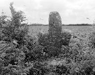 Croix de chemin, au sud de Langristin (Plounévez-Lochrist)