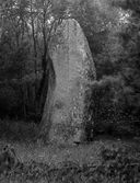Menhir, près du Moustoir (Silfiac)