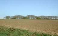 Batterie lourde (4 canons de 100 mm sous casemates de type 669) (Re 80) (6 / A.R. 343), Villeneuve (Ploumoguer)