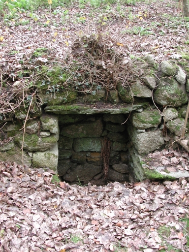 Fontaine, Kernénec (Trédrez-Locquémeau)