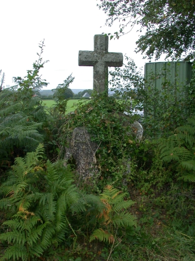 Croix de chemin, près de Douarin (Baud)