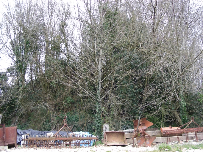 Motte féodale, le Chatenay (Orgères)