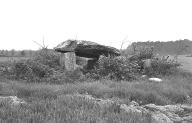 Dolmen men Gouarec'h, au nord-est de le Botquenno (Plaudren)