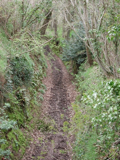Chemin, Roz-Logod (Ploumilliau)