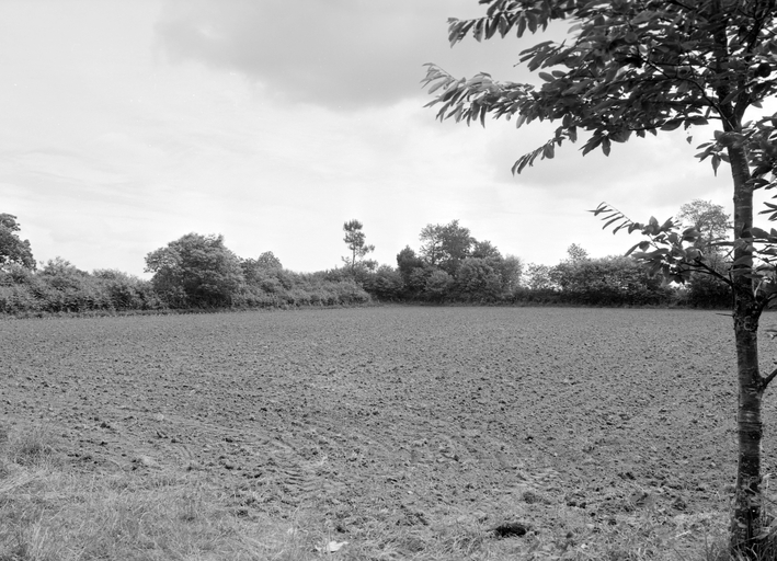 Camp dit castel Floc'h ou camp de Kerfloc'h ou fort de bois Digabelle (Plaudren)