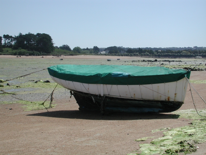 Bateaux du chantier François Hervé