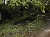 Lavoir, près de La Huliais (Le Minihic-sur-Rance)