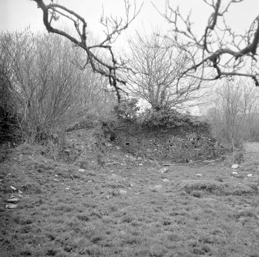 Prieuré de bénédictins, les Saints (Grand-Champ)