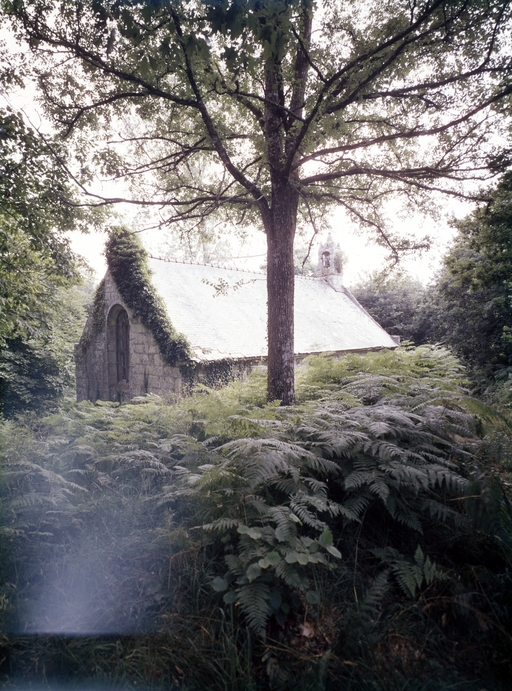 Chapelle Saint-Tremeur (Le Saint)