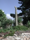 Croix de l'île Loaven (Plougrescant)