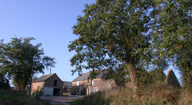 Ferme avec alignement de deux logis, la Buzardière (Iffendic)