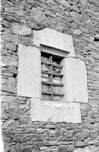 Ferme, Tréguivien (Pleugueneuc)