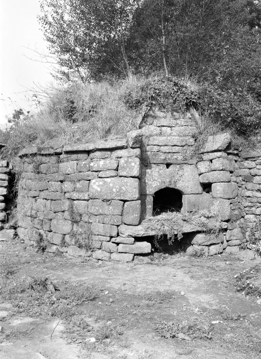 Maisons, la Villeneuve Runello (Plouray)