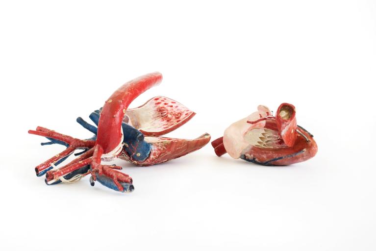 Collections pédagogiques du Lycée Ernest Renan, 2-4 Boulevard Hérault (Saint-Brieuc)