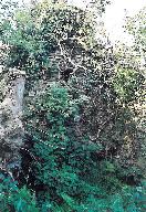 Kanndi du Bacon (Dirinon)