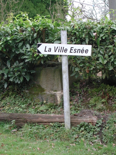 Croix de chemin, près de la Ville es Née (Saint-Pierre-de-Plesguen fusionnée en Mesnil-Roc'h en 2019)