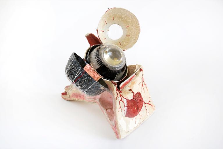 Collections pédagogiques du Lycée Ernest Renan, 2-4 Boulevard Hérault (Saint-Brieuc)