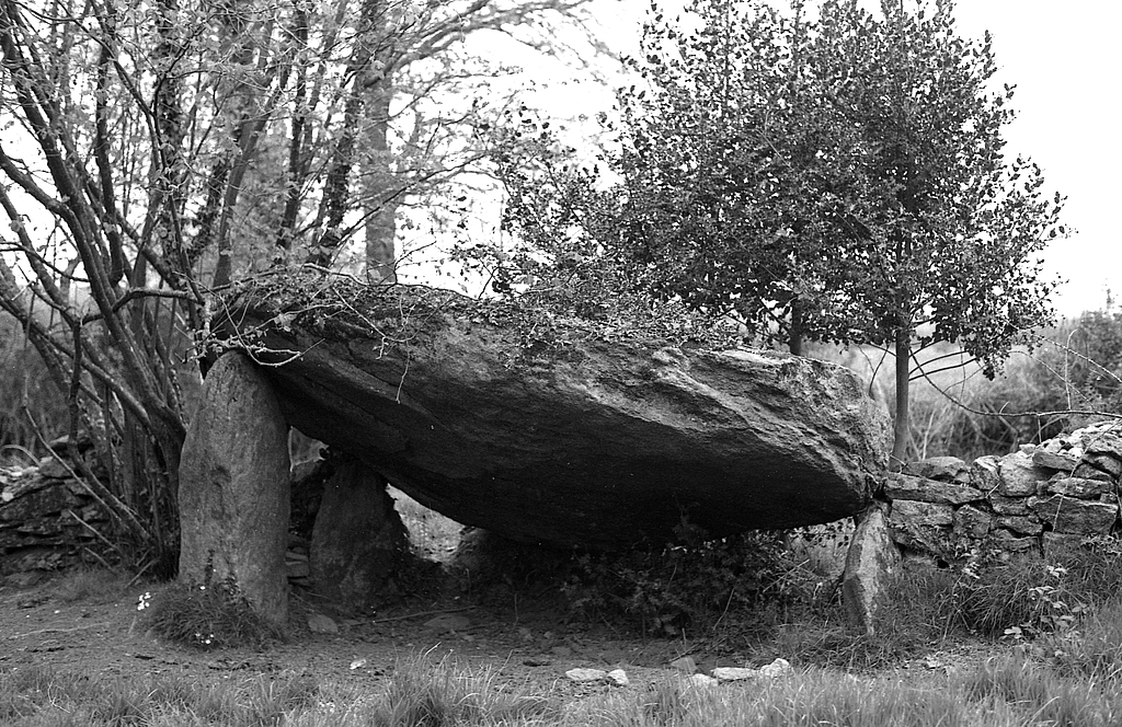 Dolmen, La Grée (Plaudren)