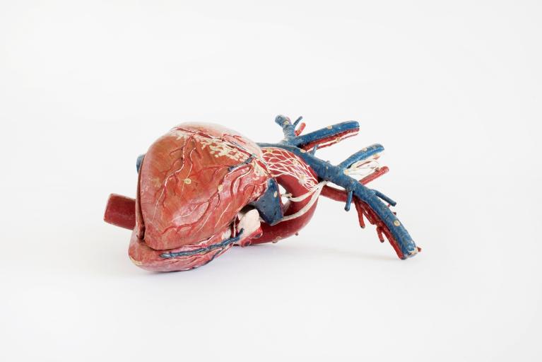 Collections pédagogiques du Lycée Ernest Renan, 2-4 Boulevard Hérault (Saint-Brieuc)