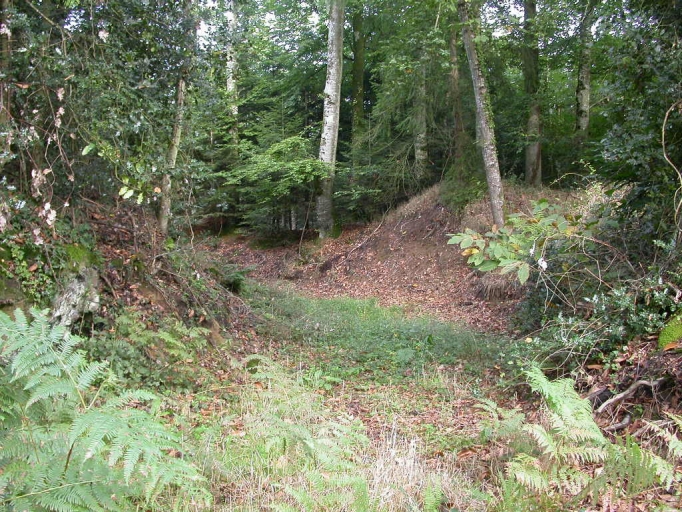 Motte, Beaufort (Plerguer)