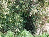 Bunker - abri n° 3, Kerdalar (Saint-Pol-de-Léon)