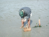 Lignes de fond (Planguenoual fusionnée en Lamballe-Armor en 2019)