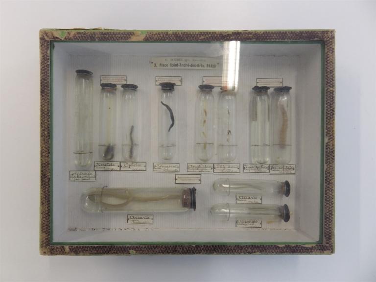 Collections pédagogiques du Lycée Dupuy-de-Lôme, 4 Rue Jean le Coutaller (Lorient)