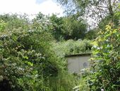 Casemate armée d'un canon de 75 mm Pak 40 (Type 680) (B 105), Rue des Quatre Pompes, sur la crête à l'ouest (Brest)