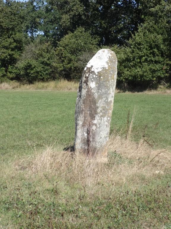 Menhir des Hautes Landes (Pleucadeuc)