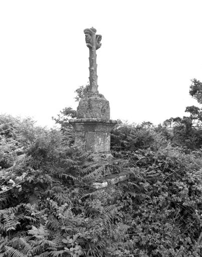 Calvaire dit Croaz Lescanic, Lescanic (Saint-Gilles-Pligeaux)