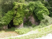 Usine métallurgique dite forges de la Hardouinais, puis moulin à tan (Saint-Launeuc)