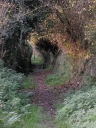 Chemin creux, Saint-Riom (Plouézec)