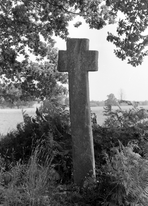 Croix de chemin, la Croix Licot (Ploërmel)