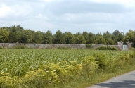 Parc du château de la Châsse (Saint-Gonlay)