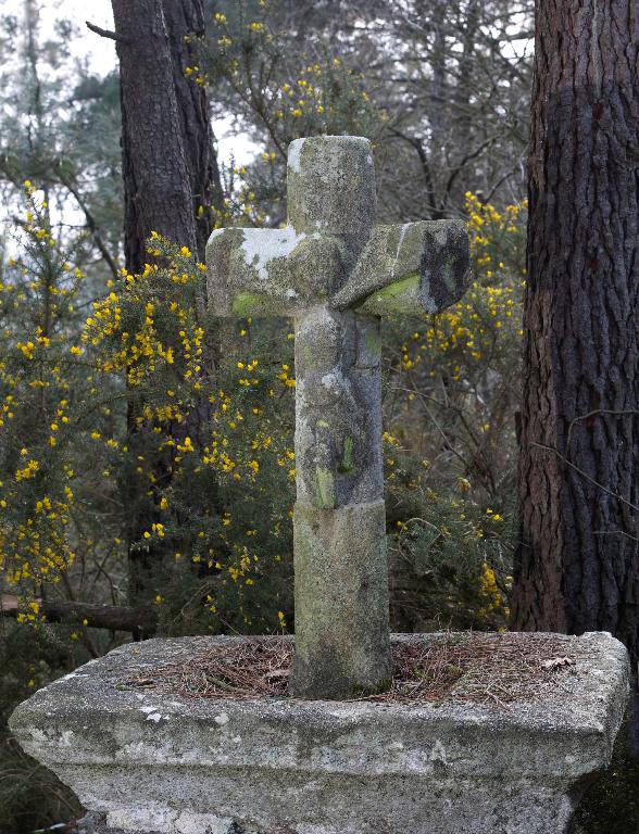 Croix de chemin, la Grée-Mahé (Pluherlin)