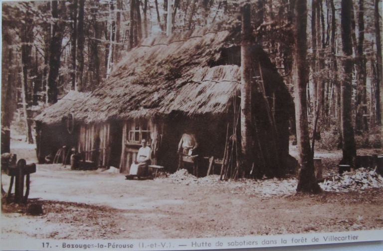 La forêt de Villecartier (Bazouges-la-Pérouse)