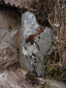 Croix de chemin (Lanmodez)