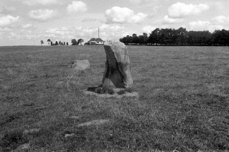 Alignement de menhirs de Bringuerault, Clos-Alaire, les Bredouillères (Bazouges-sous-Hédé)