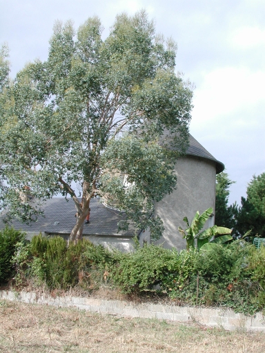 Ancien moulin à vent de la Grée de la Roche, près de la Roche (Sainte-Marie)
