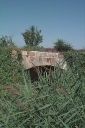Pont, dit des Barrelières, Bied du Pont au Roux (Cherrueix)