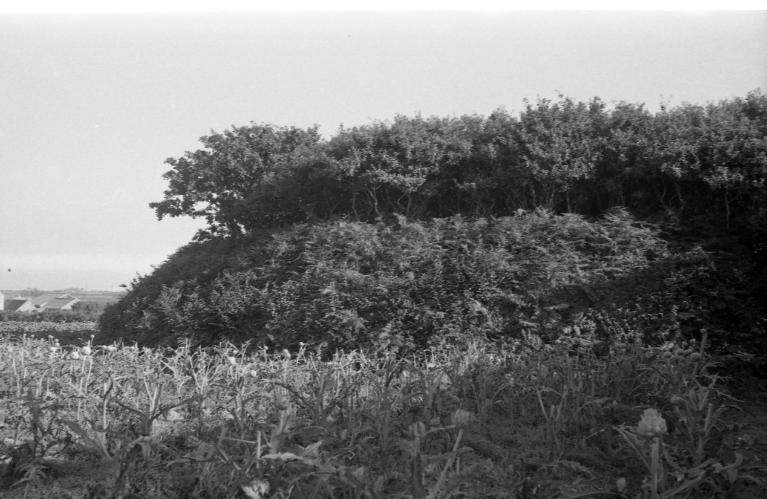 Camp, Coat Bizien (Plouzévédé)