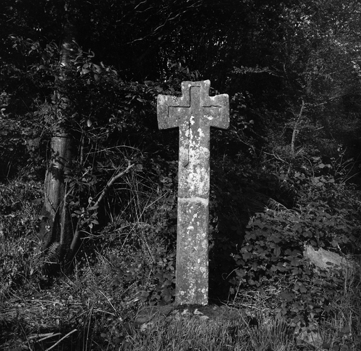 Croix de chemin dite Croas An Hospital, Rubihan (Plogonnec)