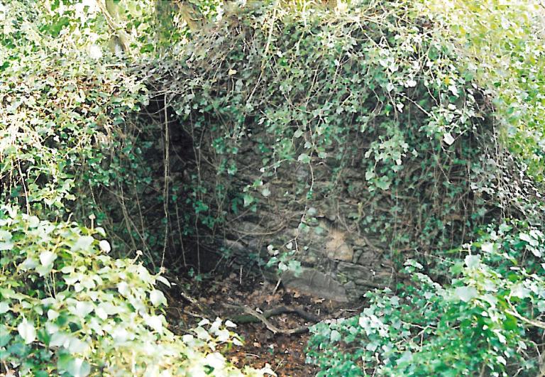 Kanndi de Kergestin (Tréflévénez)