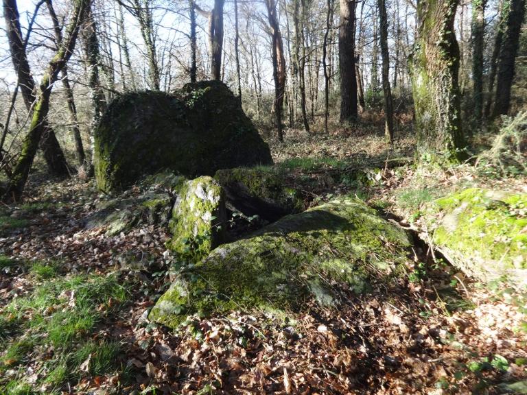 Allée couverte de la Coudraie (Augan)