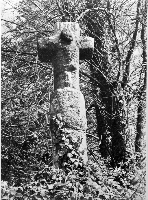 Croix monumentale, Launay Boloy (Pleumeur-Gautier)